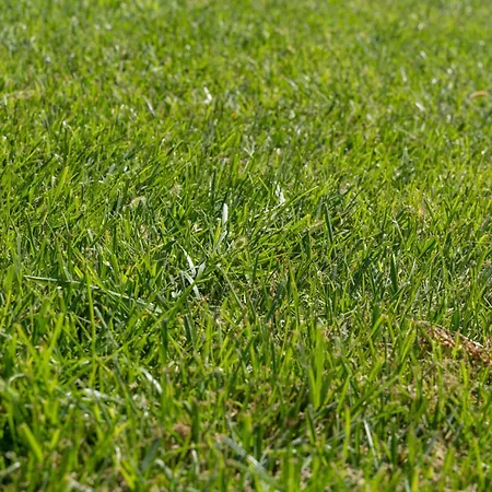 Вилла Rucchetta *