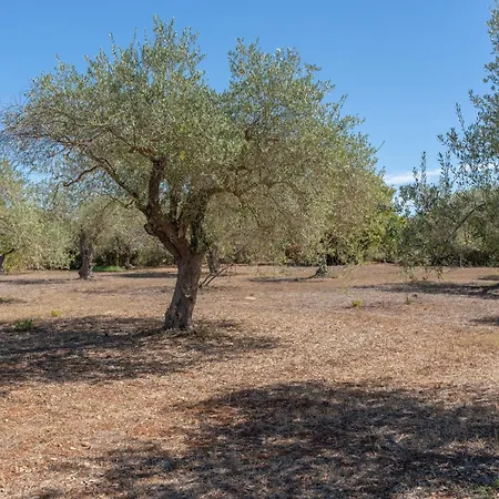 Rucchetta ヴィラ *