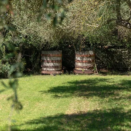 Rucchetta Vila Casa Linari